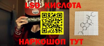 гашик Донецк