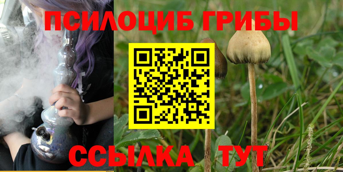 Галлюциногенные грибы Cubensis  где найти   Новоалександровск  Вход с VPN 