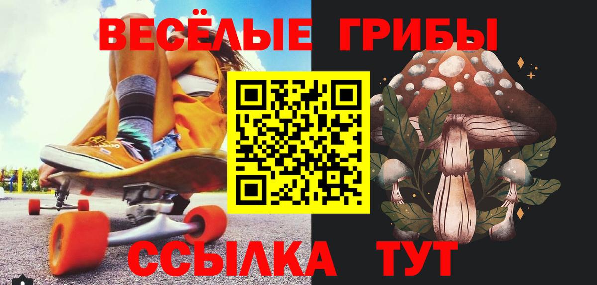 Галлюциногенные грибы Psilocybe Новоалександровск